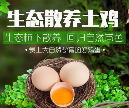灵璧县初生蛋 生态林下散养，回归自然本色，无公害土鸡，土鸡中的战斗机！欧耶