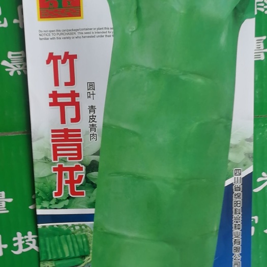 绵阳 莴笋种子 高桩形 基地专用种