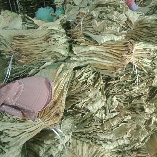 鱼台县微山湖特产，精品烘干荷叶