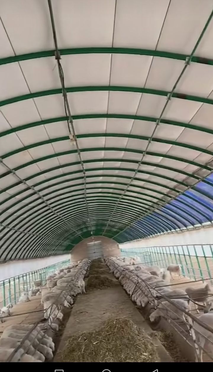 养殖大棚 大棚管鸡鸭鹅猪牛羊专用  大棚杆包塑大棚管