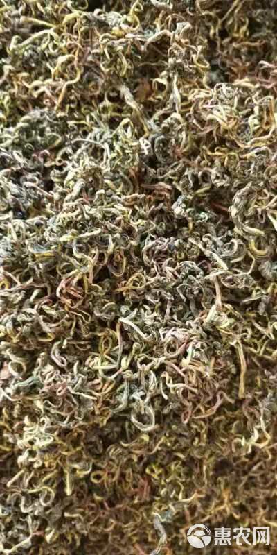 花草茶  蒲公英茶   代用茶  一公斤起包邮