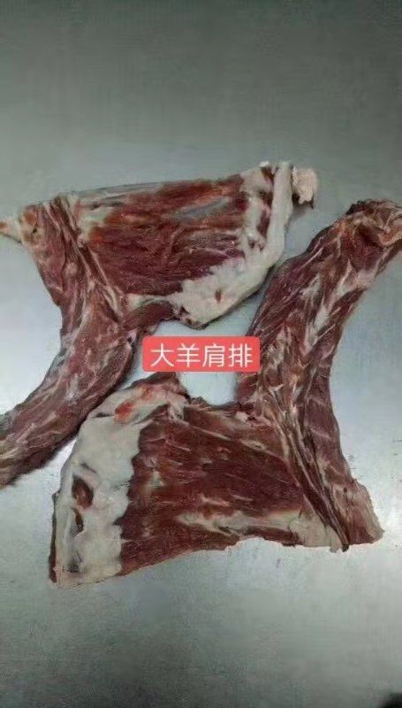 献县羊排  大羊槽骨