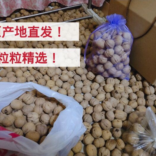 东平县香玲核桃  2021新核桃薄皮干核桃自家种植香玲元丰批发零售原产地5斤起