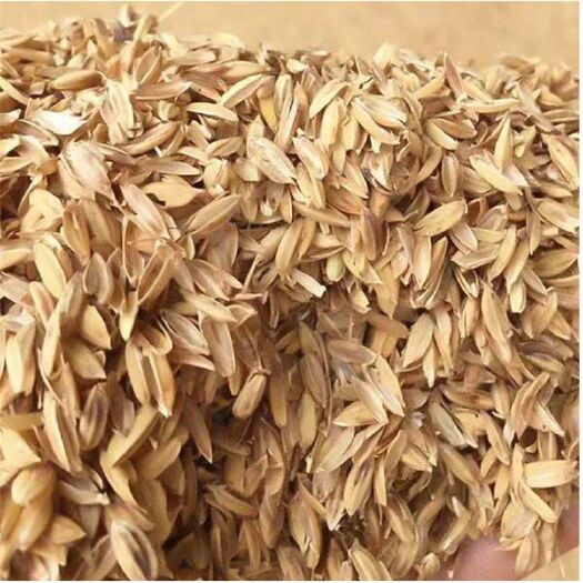 灵寿县厂家供应稻壳  压缩稻壳  畜牧用稻壳  生物用稻壳