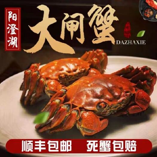 昆山市 阳澄湖镇大闸蟹，大闸蟹