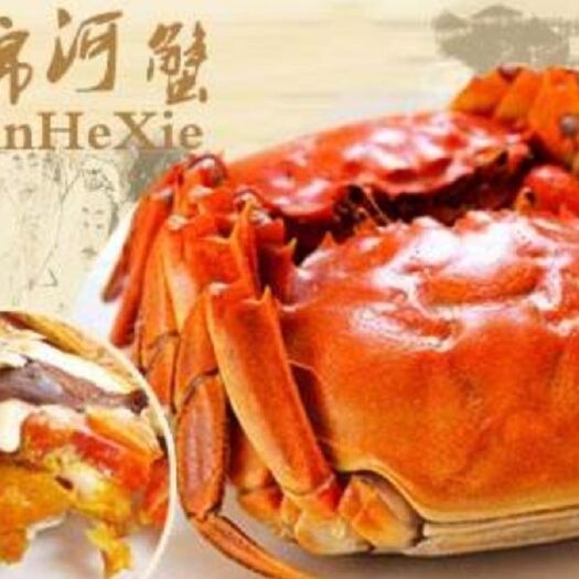 盘锦 盘锦河蟹   自家养殖