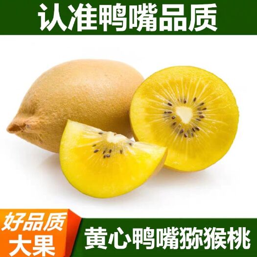 芷江县新西兰A16黄金奇异果 100~120克