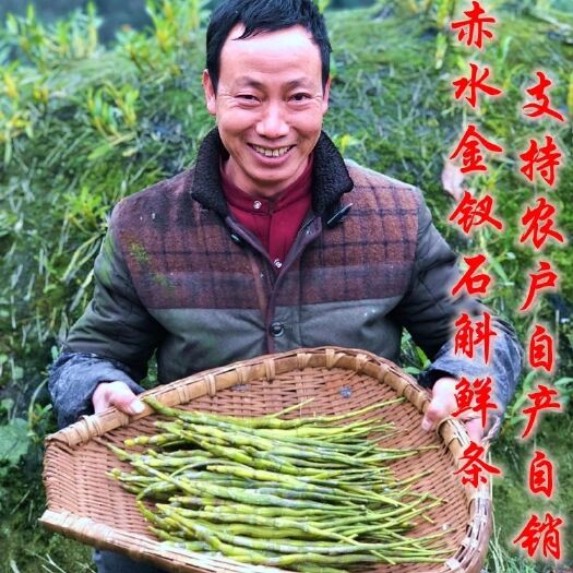 赤水市金钗石斛