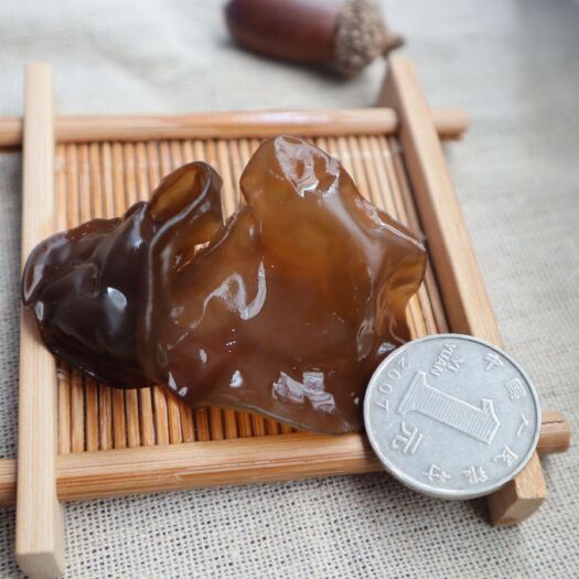 岳西县 岳西有机桑枝木耳黑木耳初生耳大别山干货
