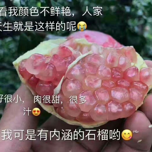 蒙自市 蒙自软籽石榴