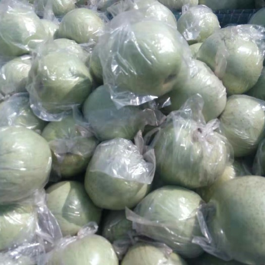 饶阳县 王林苹果
