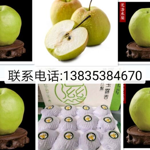 太原玉露香梨 自家种植，不甜不要钱，放心购买！