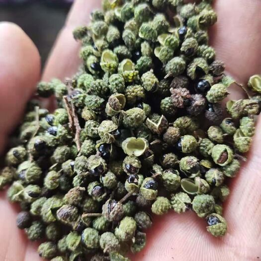 会泽县 青花椒