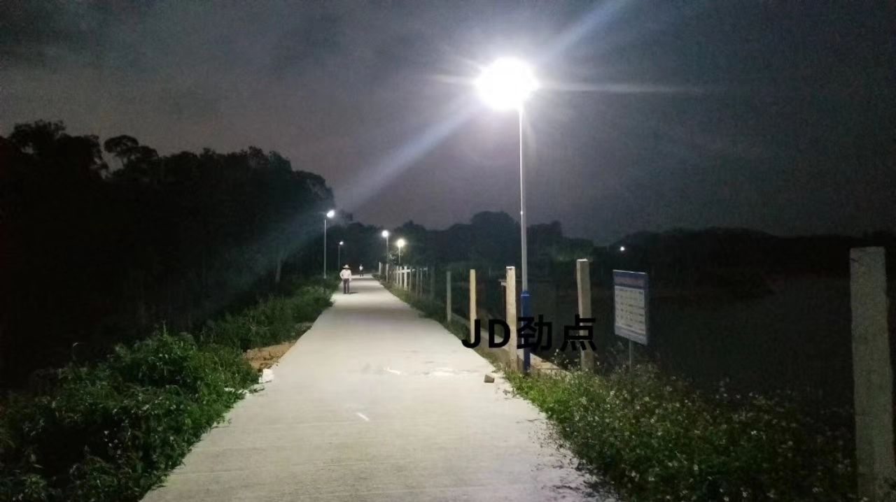 太阳能灯  太阳能路灯双太阳能板超亮防水LED乡村公路庭院智能遥控路灯