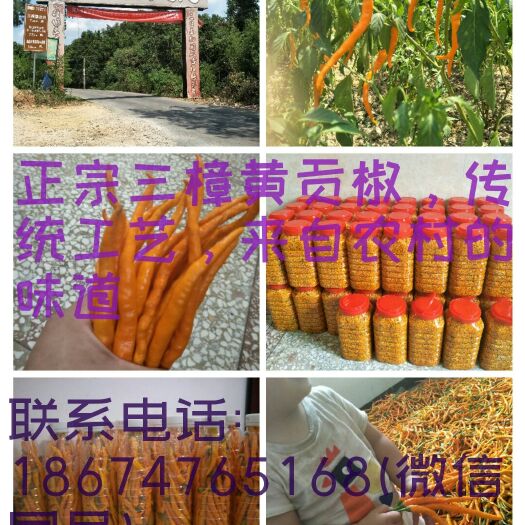 衡东县线椒剁椒 来自土菜名县衡东三樟树正宗黄贡椒精制而成，辣椒中的皇帝
