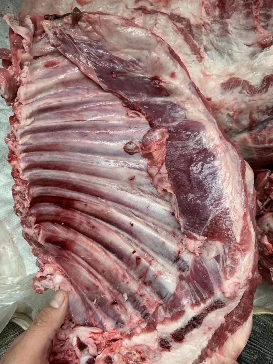  多肉羊排