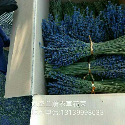 伊宁县薰衣草干花
