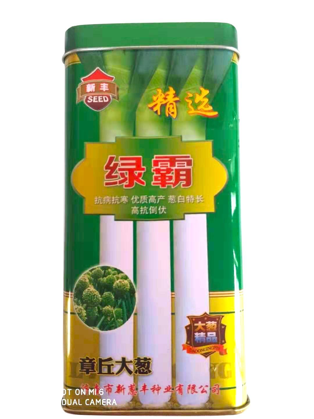 长白大葱种子 精选大梧桐-绿霸