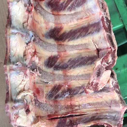 阳信县 厂家直销带肉牛脊骨眼肉骨上脑骨椎骨龙骨脖骨