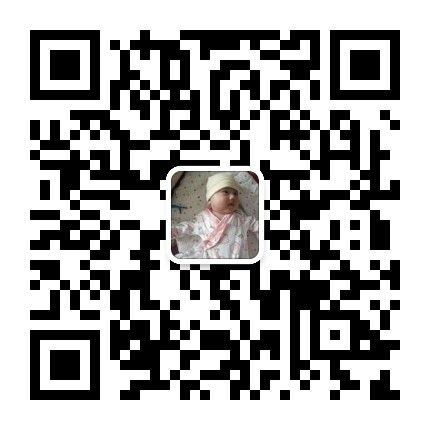 长白大葱种子 精选大梧桐-绿霸