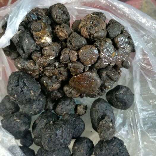 三门峡 天然蜂胶