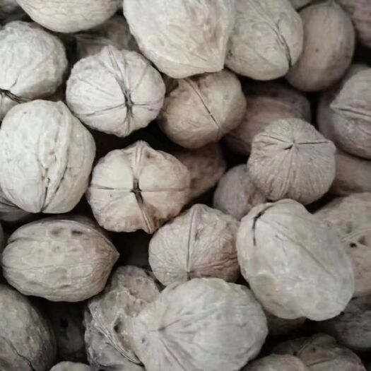德昌县 新鲜核桃