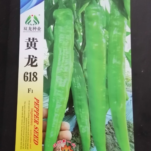 萧县尖椒种子 很不错的一个黄皮尖椒品种
