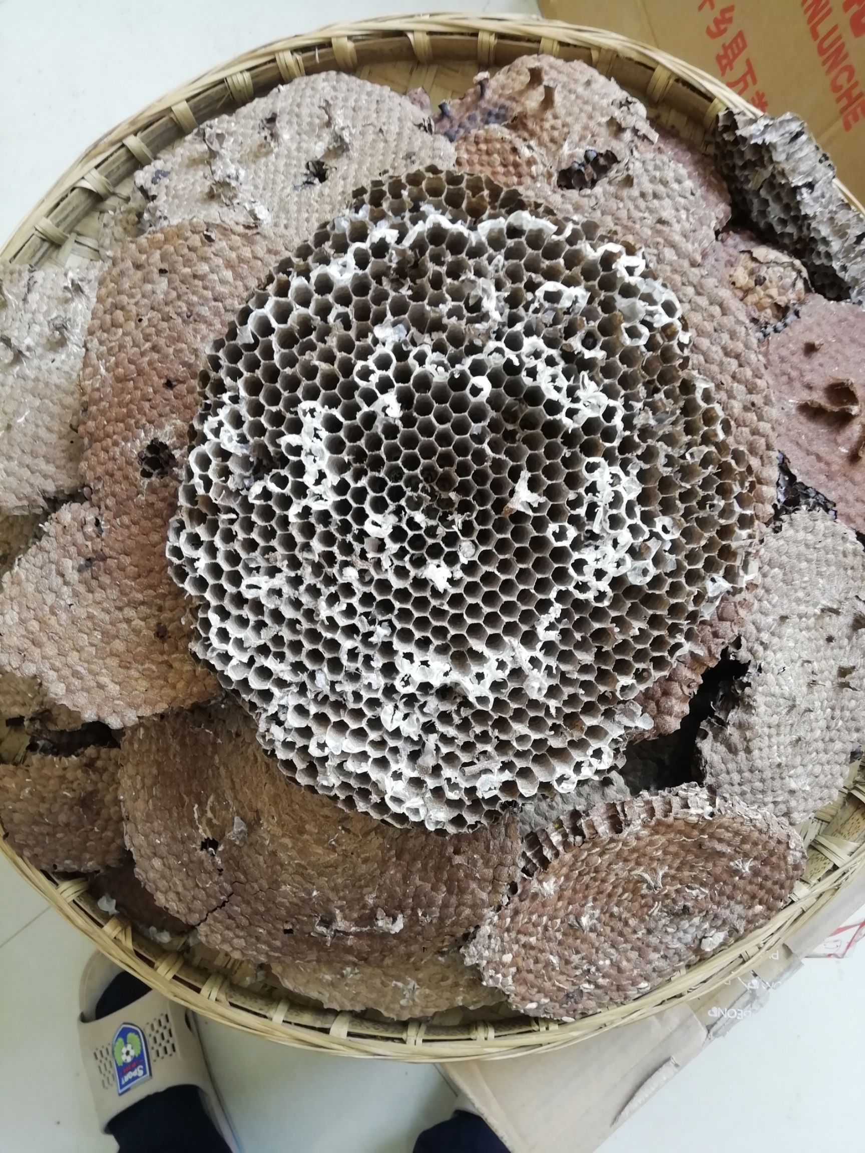 露天天然蜂房 直晒干透  清除杂质 干净无霉