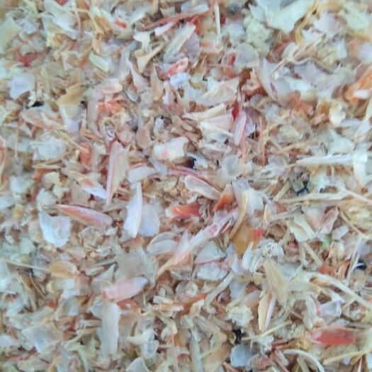 虾糠  渤海湾红色对虾康，气味清香干度好真是可以人吃的好虾康