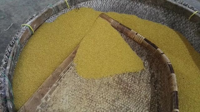 志丹县 关键工艺石碾子去皮甄选延安小米散装50斤/袋