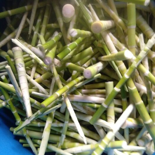 安吉县小笋干 3-6个月