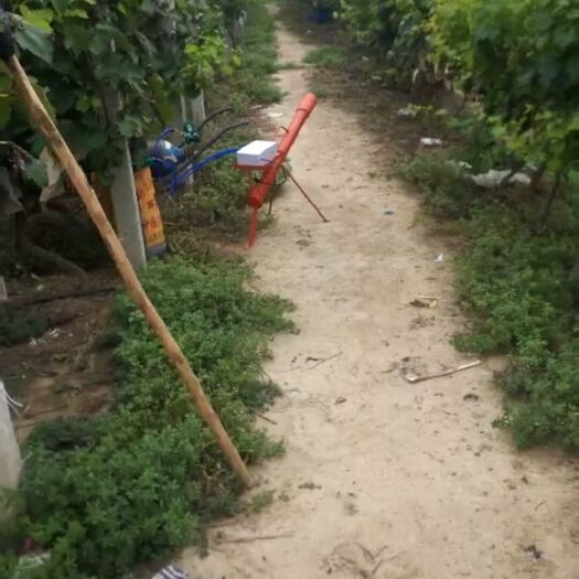 洛阳报警器 果园电子驱鸟炮
