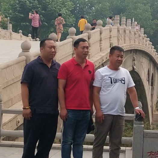 宁津县残膜回收机