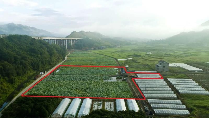 通道县水田 水产繁殖养殖基地，找合伙人。