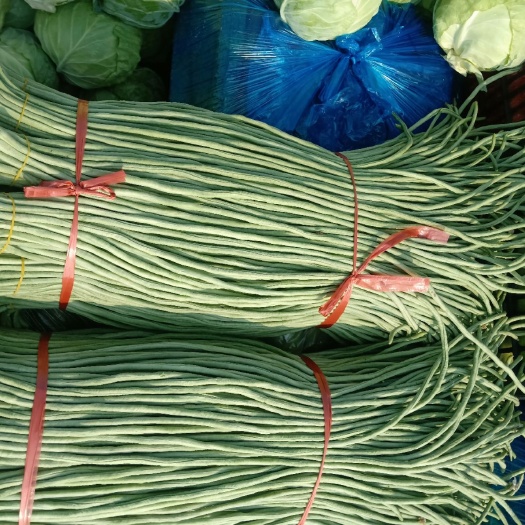 保定长浪豆角 瓜果蔬菜种植基地，质量优，价格美丽，我愿真诚为广大