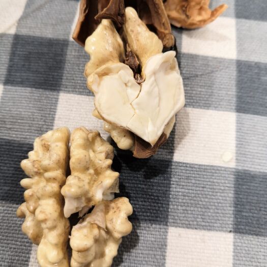 临汾棉核桃 可批发带壳或仁都可以