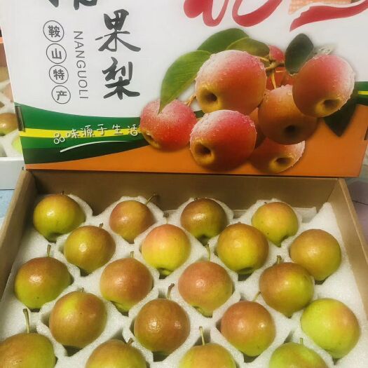 鞍山鞍山大屯南果梨