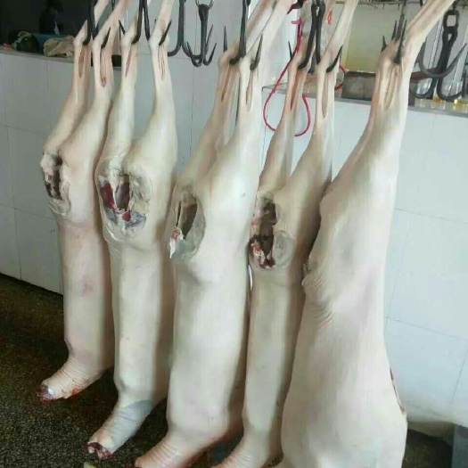 白河县 羊肉