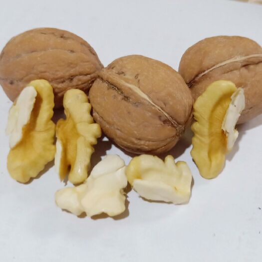 费县 新鲜核桃