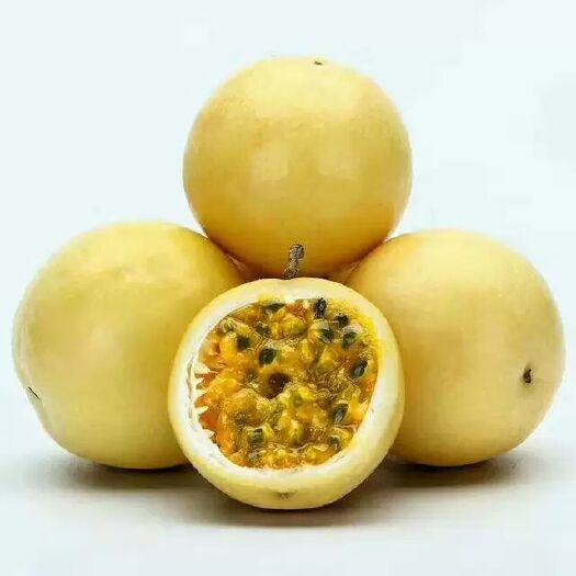 来宾巴乐百香果 统货