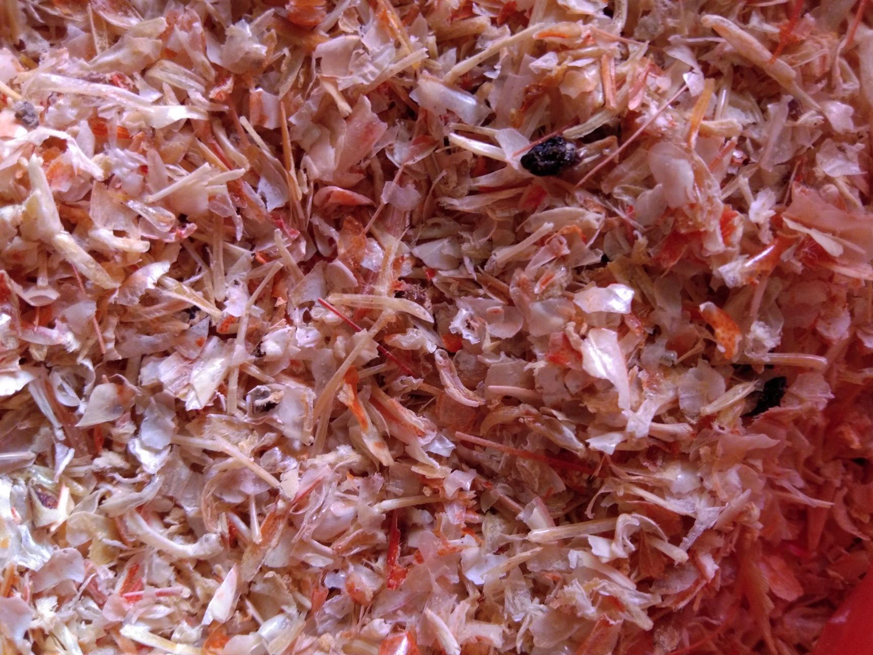 虾糠  渤海湾红色对虾康，气味清香干度好真是可以人吃的好虾康