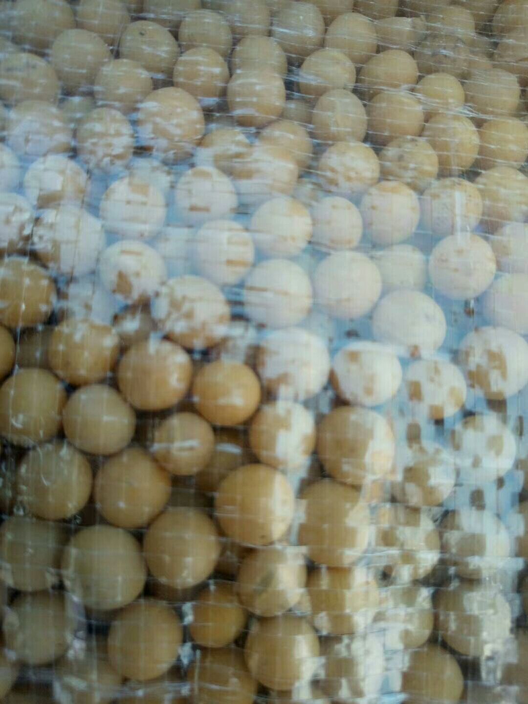 优质东北大豆，高蛋白大豆，做豆腐，做腐竹，豆浆，都可以。