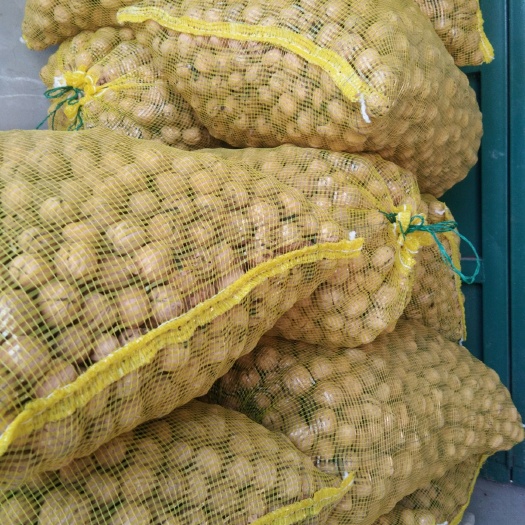 赞皇县 收购纸皮干核桃的可以联系我了，现货