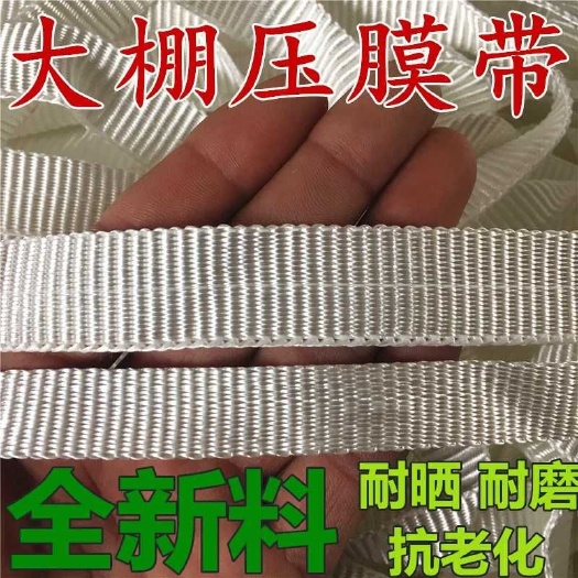天津静海大棚压膜带 强韧耐用 农业种植好帮手