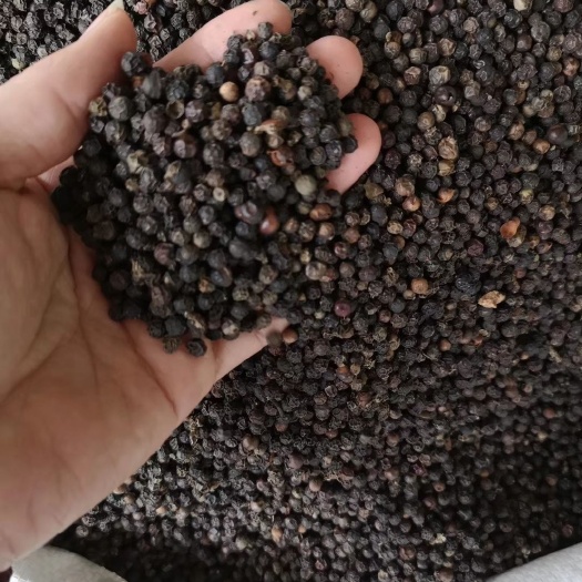玉林黑胡椒  颗粒大足干货无杂质
