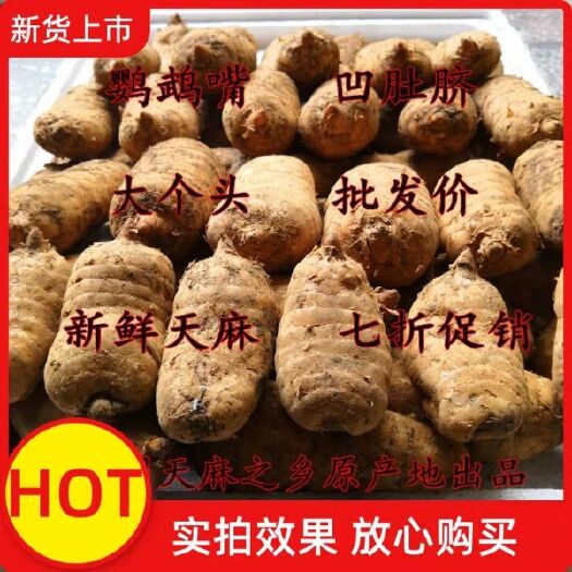 宜昌 一级新鲜天麻