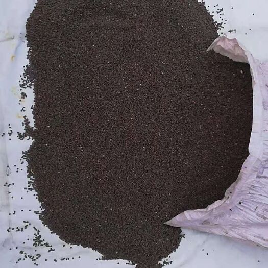 忻州大花秋葵种子 货品质量好没有问题