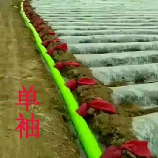 天津布水带
