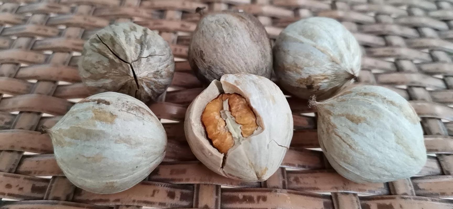  耐人寻味的野生山核桃现在上市啦来自湘西深山里的山核桃又香又