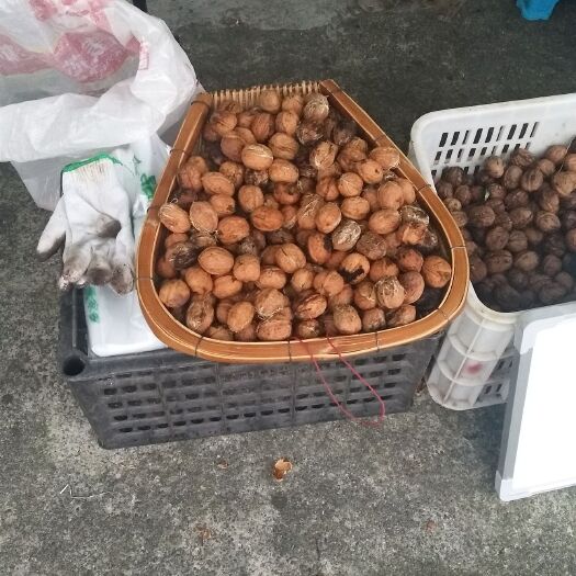 都江堰市 理县薄皮核桃，自产自销，口味好，皮薄。